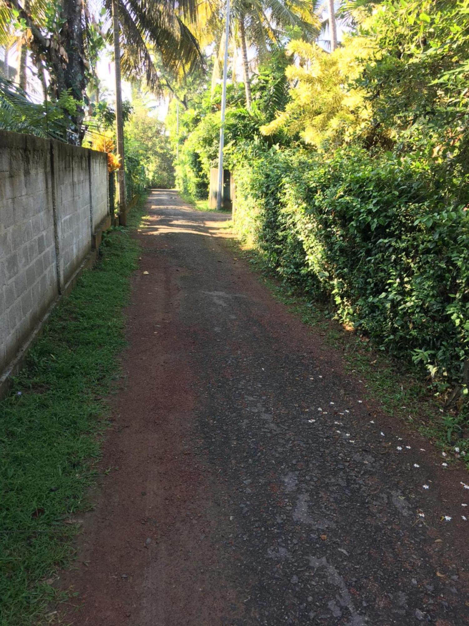 Bosadi Homestay Katunayaka Exteriör bild